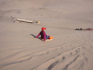 Meet your Posher, Dorothy